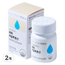코스맥스바이오 뉴트립맥스 촉촉 히알루론산 16.5 g, 2개, 16.5g