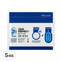 웰라쥬 리얼 히알루로닉 원데이 키트 앰플, 6회분, 5세트