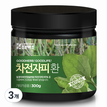 조은약초 프리미엄 차전자피환, 300g, 3개