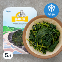 프롬제주 제주산 취나물 (냉동), 300g, 5개