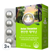 네추럴라이즈 편안한 테아닌 24.48g, 3개, 30정