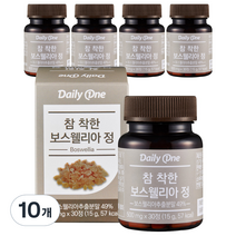 데일리원 참 착한 보스웰리아정 영양제, 10개, 15g