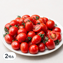 곰곰 국내산 스마트팜 대추방울토마토, 2kg, 2박스