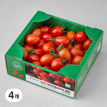 GAP 대추방울토마토, 1kg, 4개