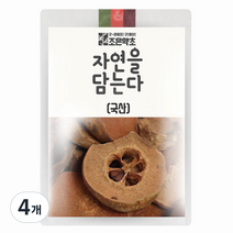 조은약초 자연을 담는다 프리미엄 모과, 600g, 4개