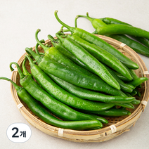 국내산 오이고추, 1kg, 2개
