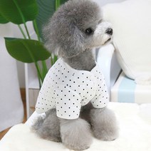 강아지 윈터 스노우 똑딱이 퀼팅 깔깔이 재킷, 화이트