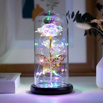 히즈플랜 LED 장미 무드등, A타입