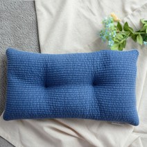 사랑예감 논슬립 낮은 낮잠 바이오칩 베개, 파랑색, 1개