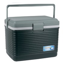 코스모스 레저용 아이스박스, 혼합색상, 30L