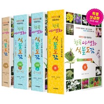 한국의야생화 오늘만 이가격