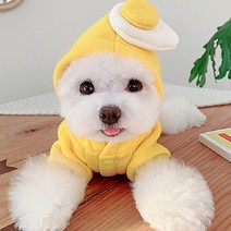 베이비도그 레모니기모점퍼 DWJ019, 옐로우