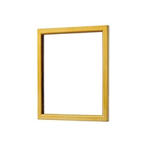 두진 바스 다인 360도 회전 벽부착형 면도거울 리얼골드 DM900, 1개