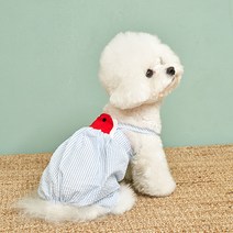 쁘띠도그 수박올인원 DA016, 블루
