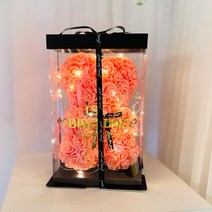 러블리팜 로즈베어 + 전용케이스 + LED전구 + 레터링 시트지 세트 1st, S사이즈, 코랄