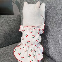 파스텔펫 반려동물 체리패턴 컬러라인 원피스, 레드