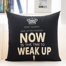 플로즈 데일리 모던 쿠션커버