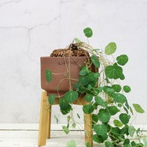 마마스스튜디오 빈티지브라운 로우실린더팟 수제 토분