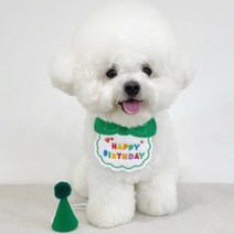 강아지 고양이 생일 축하 기념 스카프 + 모자 세트, 그린, 1세트