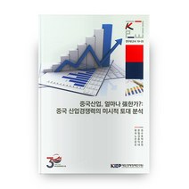 중국산업 얼마나 강한가?: 중국 산업경쟁력의 미시적 토대 분석, 대외경제정책연구원
