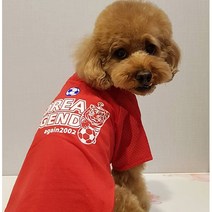 강아지 월드컵 응원복 소형견 옷 반려견 저지 티셔츠, 옵션01, XS