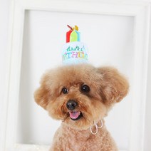 에이미러브즈펫 반려동물 생일케이크모자, 블루