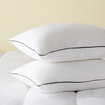 라뽐므 노르빅 베이직 베개솜 2p, 어반화이트, 2개