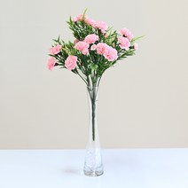 도시정원 미니 카네이션 부쉬, 연핑크