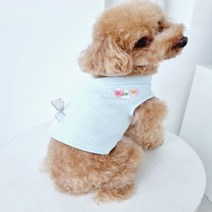 바이굄 반려동물 달보드레 명절 한복 조끼, 하늘