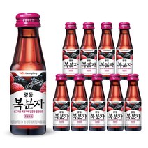 광동 복분자 음료, 100ml, 30개