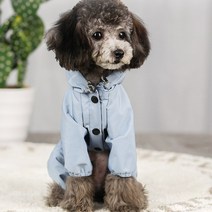 펫포에버 강아지 올인원 레인코트, 라이트 블루