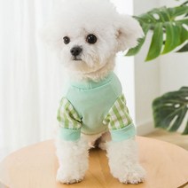 마이바우 반려동물 심플체크소매 티셔츠, 공룡(그린)