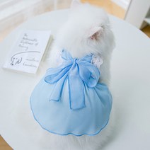 반려동물 아티펫 레이스 쉬폰 나비 드레스, 블루
