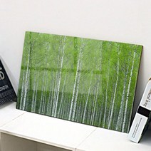 꾸밈 자작나무의 계절 아크릴 액자 여름 cm806, 2.여름
