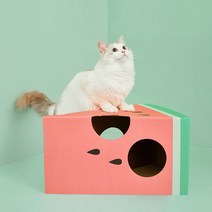 미아모르두부 수박 단짠 스크래쳐 숨숨집하우스, 레드 + 그린, 1개