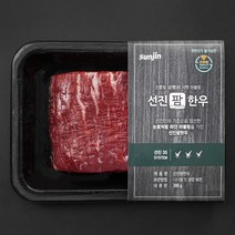 선진팜한우 양지 1등급 국거리용 (냉장), 300g, 1팩