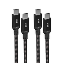 스카이 USB PD 고속충전 케이블 Gen2 100W 스카이-C-C2PDG2 2p, 블랙, 2m