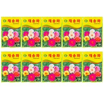 SN월드 청농꽃씨 채송화, 10개