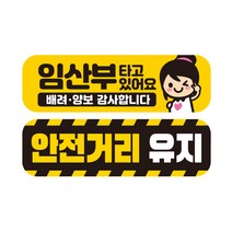 제제데코 초보운전 자동차 탈부착 자석 고휘도 반사 스티커 시트지 미디엄 E230 EB036 + EC044 세트, 혼합색상, 2개입