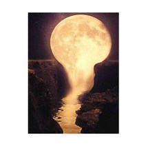 코쿼드 보석십자수 DIY 키트 30 x 40 cm 074, 혼합색상, 1세트