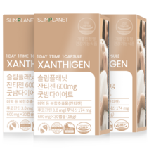 슬림플래닛 잔티젠 600mg 굿밤 다이어트 18g, 3개, 30정