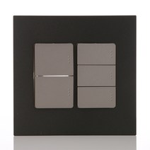 제일전기공업 아도니스 스위치 블랙펄 1로 5구 2개용, 1개