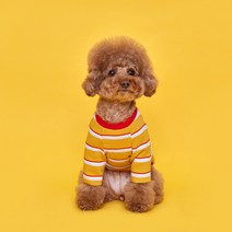 플로트 강아지 후르츠 티셔츠, 망고옐로우