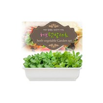 세경팜 허브 텃밭 세트 화이트화분, 스윗바실, 루꼴라