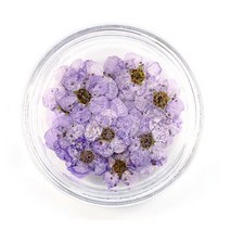 해피제이 압화 드라이플라워 네일 파츠, 1개, 보라