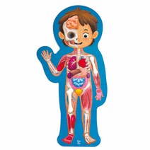 [하페]우리몸퍼즐, 단품, 단품