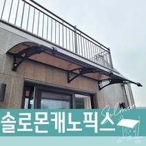 캐노픽스 1000X3000 고정식어닝 외부차양 현관비가림 계단지붕 조립식캐노픽스 렉산 주차장 브라켓, 그린, 회색, 은백색