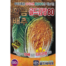 맛있는 고기능성 항암 배추씨앗 황금배추 골드김장80 500립 / 22년포장 고기능성 항암배추 맛과 건강을 동시에 라이코펜다량함유 건강한 엽육으로 저장성이 으뜸