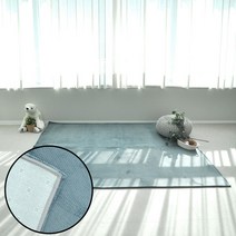 아파트 거실매트 보드라운 극세사 러그 대 170X230 사계절용 관리편한