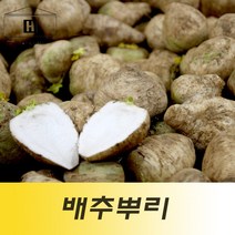 배추뿌리 3kg 배추꼬리 배추꼬랭이 배추뿌랭이